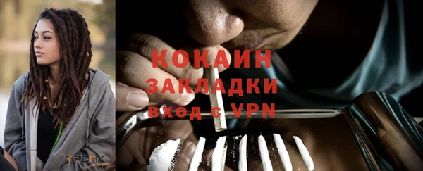 сатива Покачи