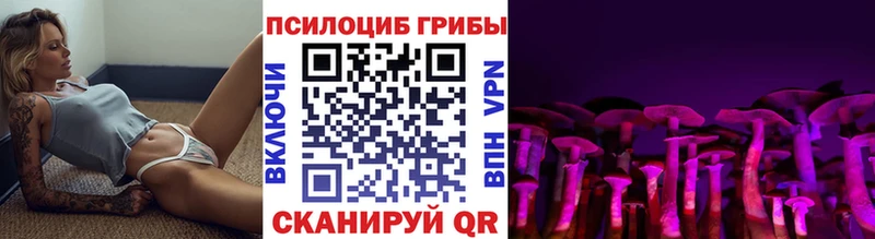 магазин продажи наркотиков  Лахденпохья  Галлюциногенные грибы GOLDEN TEACHER 